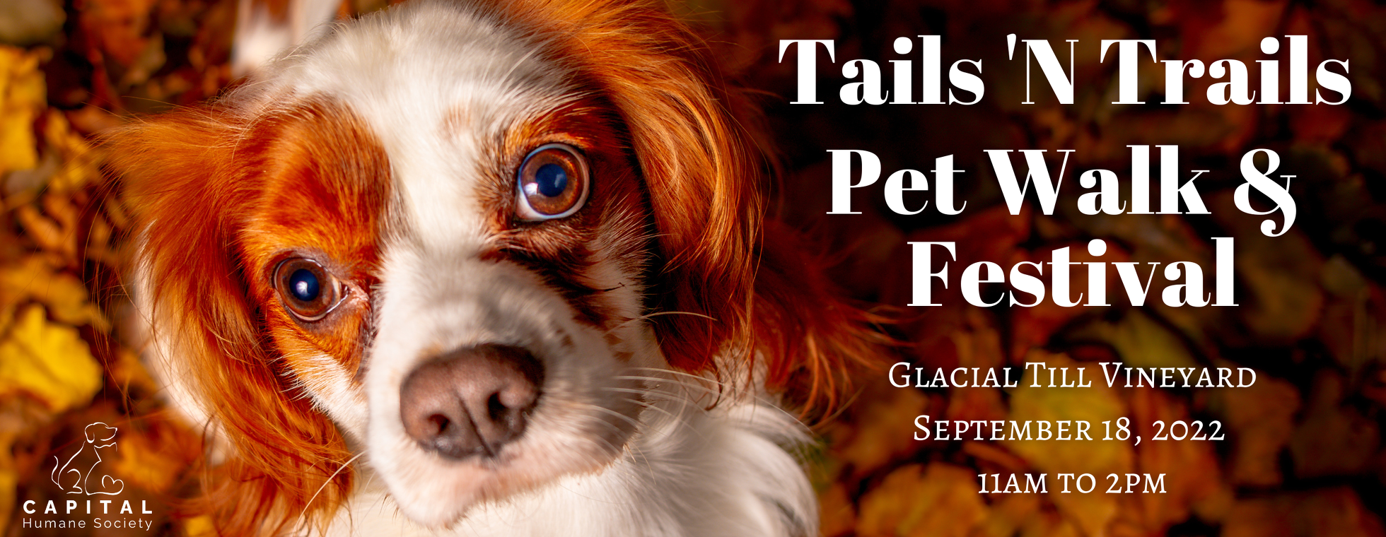Tails 'N Trails Pet Walk 2022