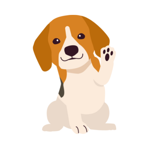 Team Page: Animal Welfare Staff